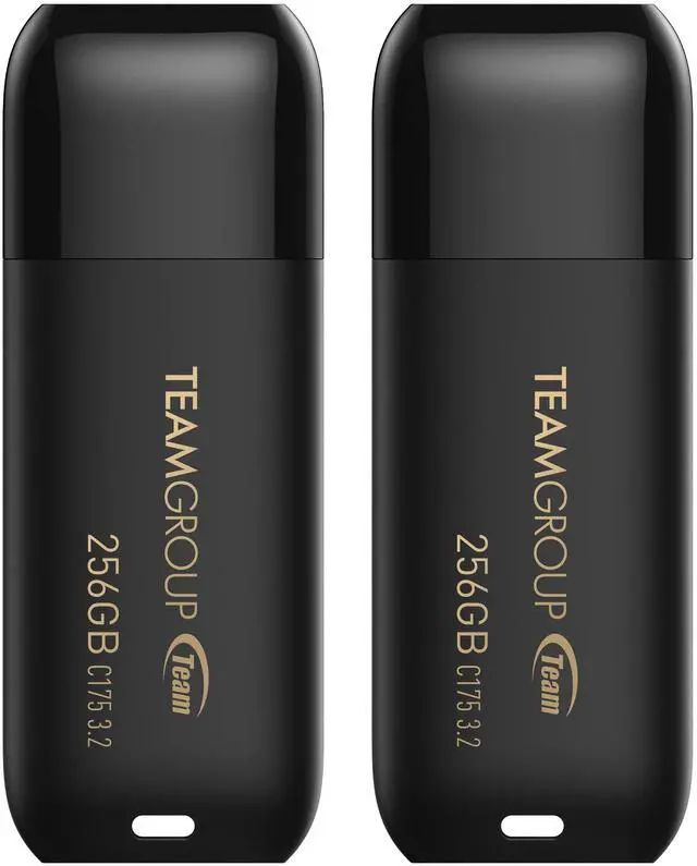 Main image of TEAMGROUP C175 256GB 2 Pack USB 3.2 Gen 1 (USB 3.1/3.0) Read 100MB/s Flash Thumb Drive, External Data Storage Memory Stick Compatible with Computer/Laptop Matte Black TC1753256GB22