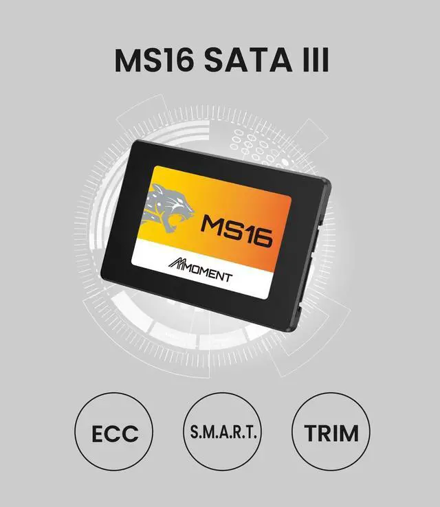 Alt view image 5 of 5 - MMOMENT MS16 256GB 2.5 Inch SATA III 6 GB/s Internal Solid State Drive SSD (Read up to 550MB/s) Compatible with PC Desktop