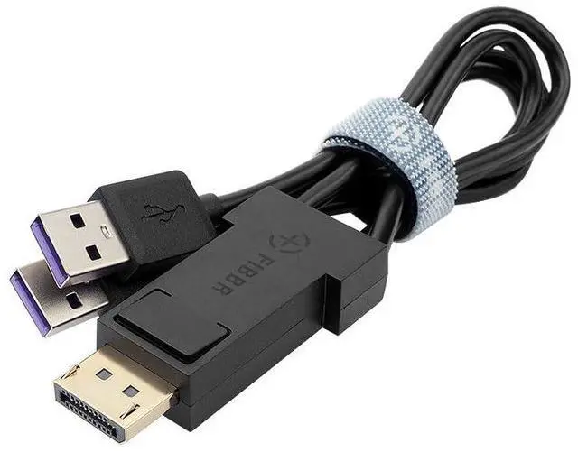 Main image of FIBBR DisplayPort to USB C Cable Adapter with Double USB Power Supply, USB 3.2 Fast Speed 10Gbps Stable Transmission for PC Laptop Gaming Monitor VR Box Glass
