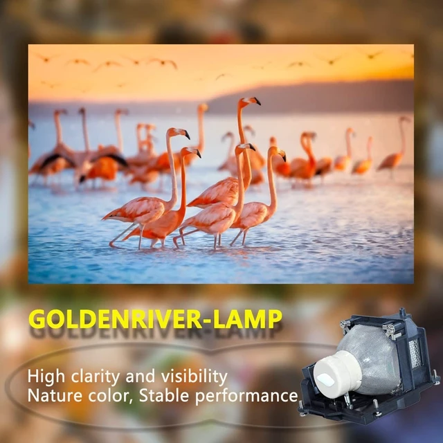 Alt view image 4 of 5 - GOLDENRIVER NP41LP Projector Lamp with Genuine/OEM Original Bulb Inside Compatible with NEC NP-41LP Projectors