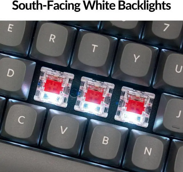 Alt view image 6 of 7 - Keychron K8 Max TKL Mechanical Keyboard Wireless, Programmable 87 Keys QMK 2.4 GHz/Bluetooth 5.1/Wired Connection, White Backlit with Keychron Super Red Switch for Mac Win Linux