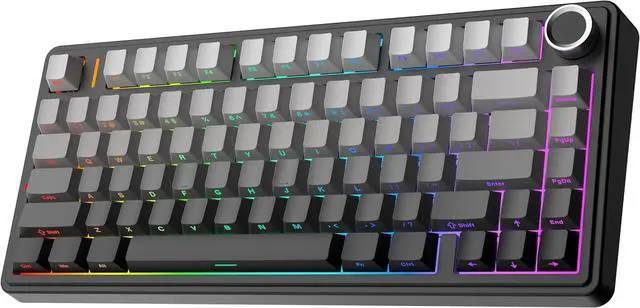Main image of EPOMAKER x Aula F75 Gasket Mechanical Keyboard, 75% Wireless Hot Swappable Gaming Keyboard with Five-Layer Padding&Knob, Bluetooth/2.4GHz/USB-C, RGB (Black Gradient, LEOBOG Reaper Switch)