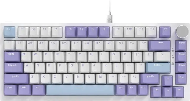 Main image of AJAZZ AK820 75% Wired RGB Gasket Mechanical Keyboard with Volume Knob, Compact 82 Keys Hot-Swap Keyboard, OME Profile PBT Keycap, Detachable Type-C Cable (Purple&Blue)