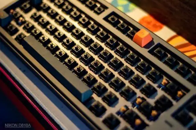 Alt view image 5 of 6 - Gateron Oil King V2 Linear Switch - 55g Mechanical Keyboard Switches, 5 Pin Factory Pre-Lubed for Smooth & Quiet Typing, Compatible with Custom Gaming Keyboards(72 PCS)