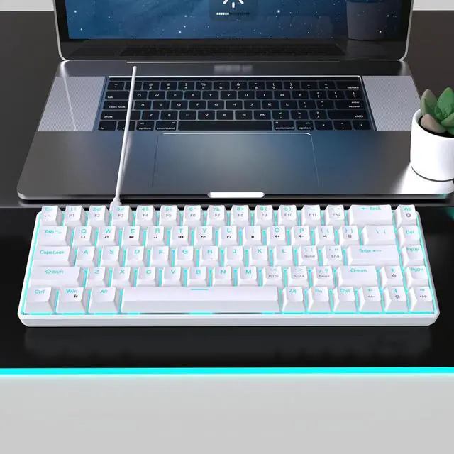 Alt view image 4 of 7 - DIDILLX 68Keys Mechanical Keyboard Double Shot Injections with Backlits Option for PC Gamers USB C Small Gaming Keypad