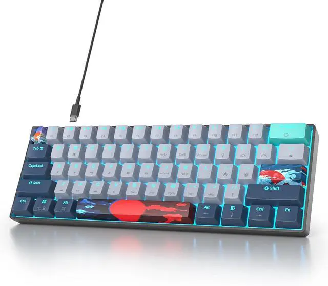 Main image of Ussixchare 60 Percent Gaming Keyboard 61 Keys Wired Mechanical Keyboard Ultra Compact Key Board Red Switch LED Backlit for Windows Laptop Gamer(61Shark)