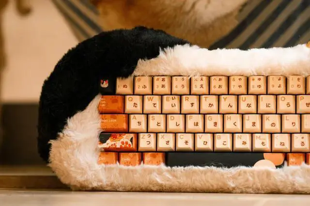 Alt view image 7 of 7 - DRY STUDIO PETBRICK 65 2.4G Wireless Gaming Keyboard 65%, World's First Fluffy, Pettable Custom Mechanical Leaf Spring Keyboard, Switch Between Two Styles Any Time, Odd Eye