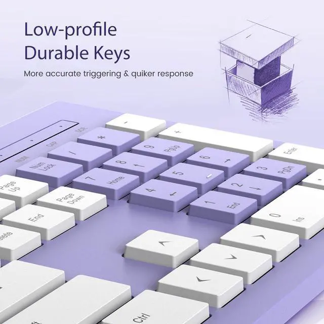 Alt view image 2 of 7 - COLIKES Computer Keyboard Wired, Plug Play USB Keyboard, Low Profile Chiclet Keys, Large Number Pad, Caps Indicators, Foldable Stands, Spill-Resistant, Anti-Wear Letters for Windows PC Laptop, Purple