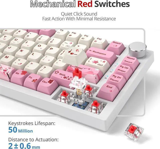 Alt view image 5 of 6 - SbocKeeb 75 Percent Keyboard Gasket-Mounted with Sound Absorbing Pads, 82-Key Compact Wired RGB Mechanical Gaming Keyboard Hot-Swap Socket for Mac/Win, Ying