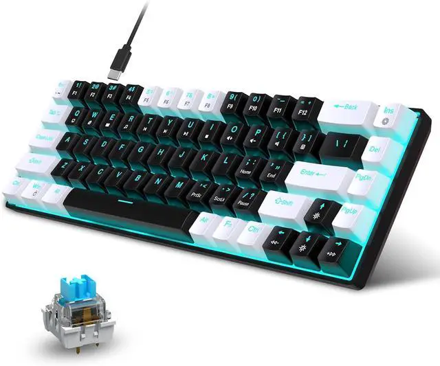 Main image of Wired Gaming Keyboard, RGB Backlit Keyboard, Ultra-Compact 68 Keys Keyboard for PC/Mac Gamer, Typist, Travel, Easy to Carry on Business Trip, 19 Different Lighting Modes