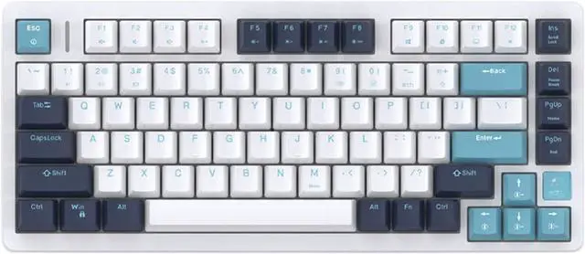 Main image of FE75Pro Wireless RGB Hot Swappable Mechanical Keyboard, Three-Layer Dampening 81 Keys Gaming Keyboard, Customizable Backlit, USB-C/2.4GHz/Bluetooth- White/Blue