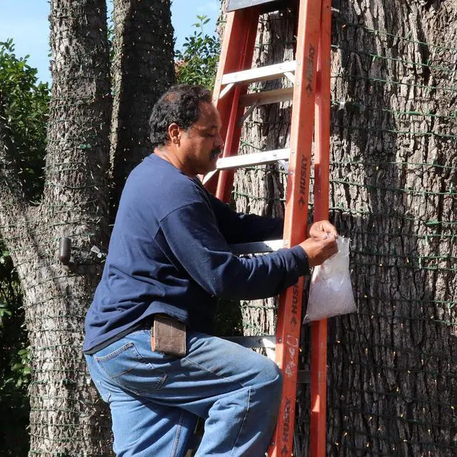 Alt view image 6 of 7 - The Original Weatherproof Gaskets - Made in USA, for Outdoor Christmas Lights Installation, GFCI Protector, Outdoor Waterproof Extension Cord Gasket, Stop GFCIs from Tripping - by APlugPro
