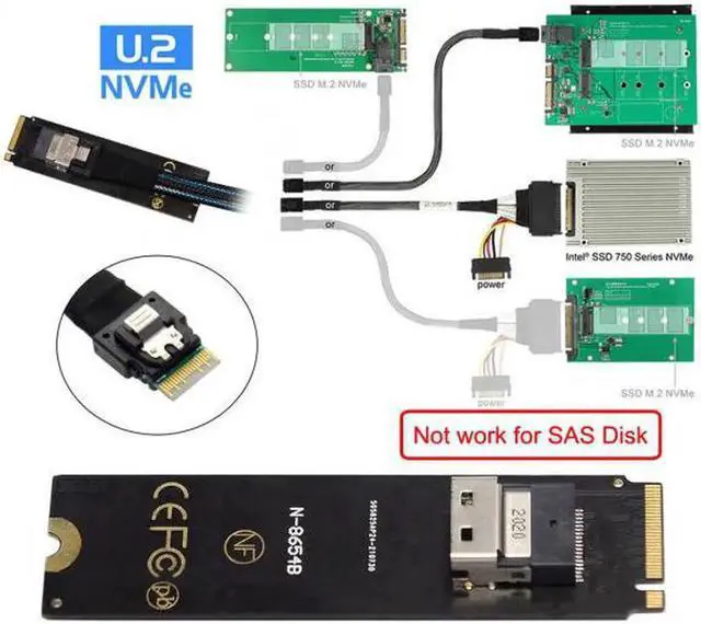Alt view image 4 of 7 - JAENFONG NGFF M-Key NVME to SFF-8654 Slimline SAS Card Adapter and U.2 U2 SFF-8639 NVME PCIe SSD Cable for Mainboard SSD