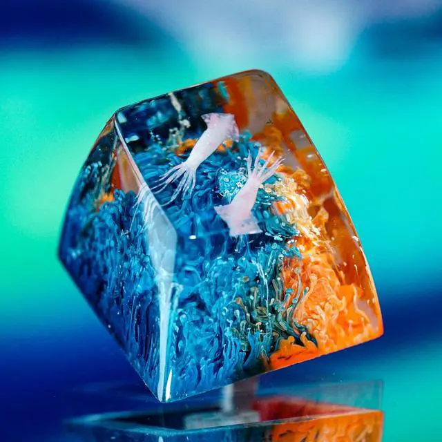 Alt view image 5 of 5 - Couple Squids in Teal Orange Coral Artisan Keycap R1 SA Profile Custom Sea Creatures Keycaps 1U ESC Handmade Gaming Resin Key Cap Cherry MX Switch Compatible Mechanical Keyboard Sea Ocean Lover Gift