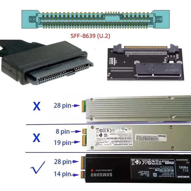 Alt view image 2 of 5 - NGFF U.2 SFF-8639 Host to NVMe Ruler 1U GEN-Z EDSFF 2C 8X Short SSD PM983 E1.L Carrier Adapter