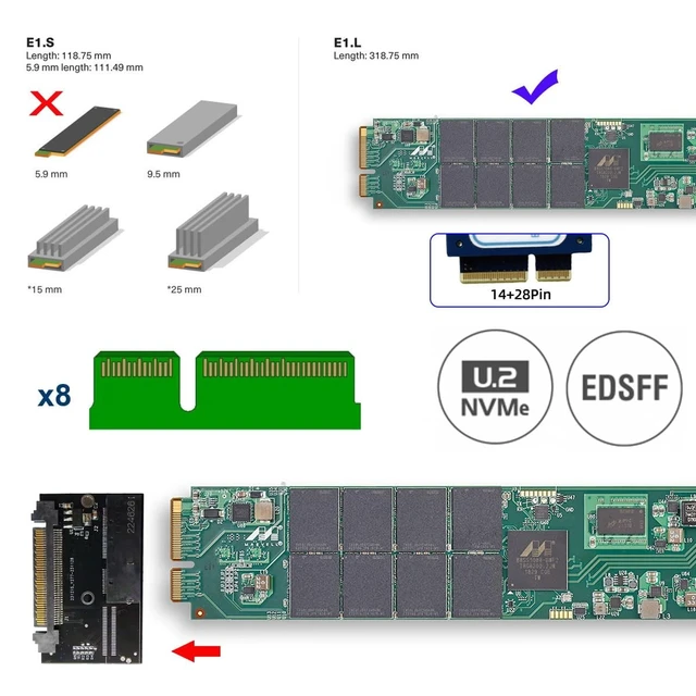 Alt view image 4 of 5 - NGFF U.2 SFF-8639 Host to NVMe Ruler 1U GEN-Z EDSFF 2C 8X Short SSD PM983 E1.L Carrier Adapter