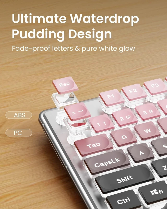 Alt view image 2 of 5 - Wired Keyboard with White Backlit, Never Fade, Soft Click, Black Ombre