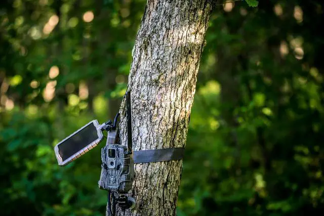 Alt view image 11 of 12 - Stealth Cam STC-SOLP Stealth Solar Power Panel Solar Power Panel