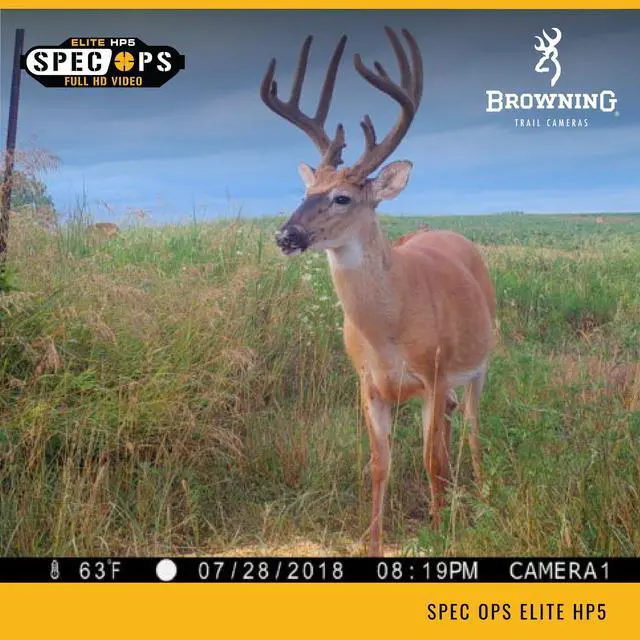 Alt view image 7 of 8 - browning spec ops elite hp5 trail camera
