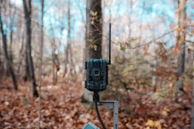 Alt view image 12 of 13 - Stealth Cam Fusion Max Cellular Trail Camera with Real-Time HD Video and 80ft Infrared Detection