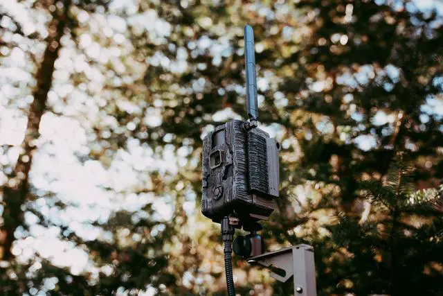 Alt view image 13 of 13 - Stealth Cam Fusion Max Cellular Trail Camera with Real-Time HD Video and 80ft Infrared Detection