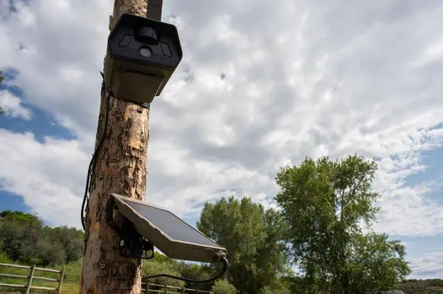 Alt view image 5 of 5 - Defend by Tactacam Solar Panel for Cellular Security Camera