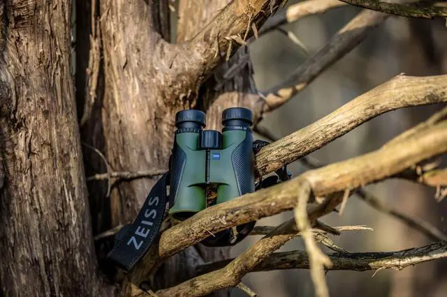 Alt view image 4 of 6 - ZEISS Terra ED Binoculars 8x42 Waterproof, and Fast Focusing with Coated Glass for Optimal Clarity in All Weather Conditions for Bird Watching, Hunting, Sightseeing, Green