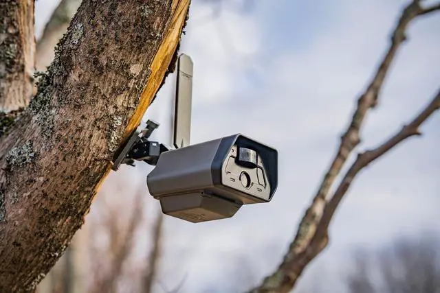 Alt view image 4 of 7 - TACTACAM Defend Cellular Security Camera - No WiFi Required - Motion Activated Wireless Camera - Motion Detection - Includes Solar Panels, SD Cards, and Microfiber Cleaning Cloth (2PK)