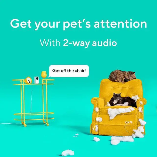 Alt view image 6 of 7 - Wyze Cam Pan v2 360° Pet Camera with Phone App PTZ Indoor Smart Security Camera for Dog Cat Baby Elderly Monitoring, 2-Pack