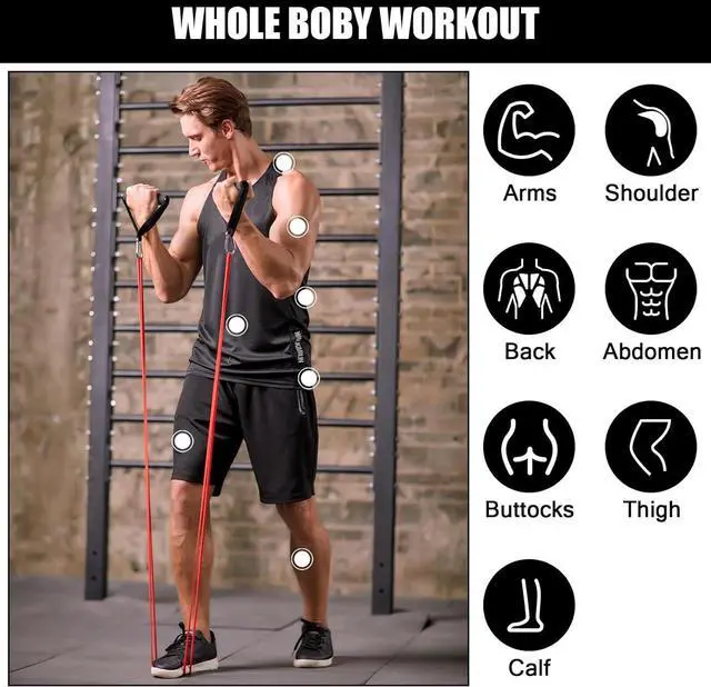 Alt view image 7 of 7 - Odoland 5 Packs Pull Up Assist Bands, Pull Up Straps, Resistance Bands with Door Anchor and Handles, Stretch Mobility, Powerlifting and Extra Durable Exercise Bands with eGuide