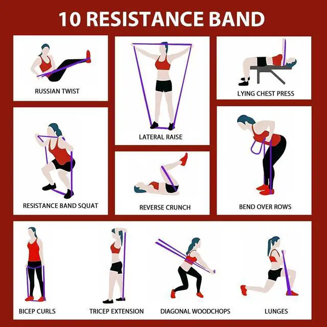 Alt view image 6 of 6 - LEEKEY Resistance Bands, Exercise Bands with Handles,Pull Up Assist Bands - Bands for Working Out,Band for Men and Women Fitness Training, Physical Therapy,Home Workouts