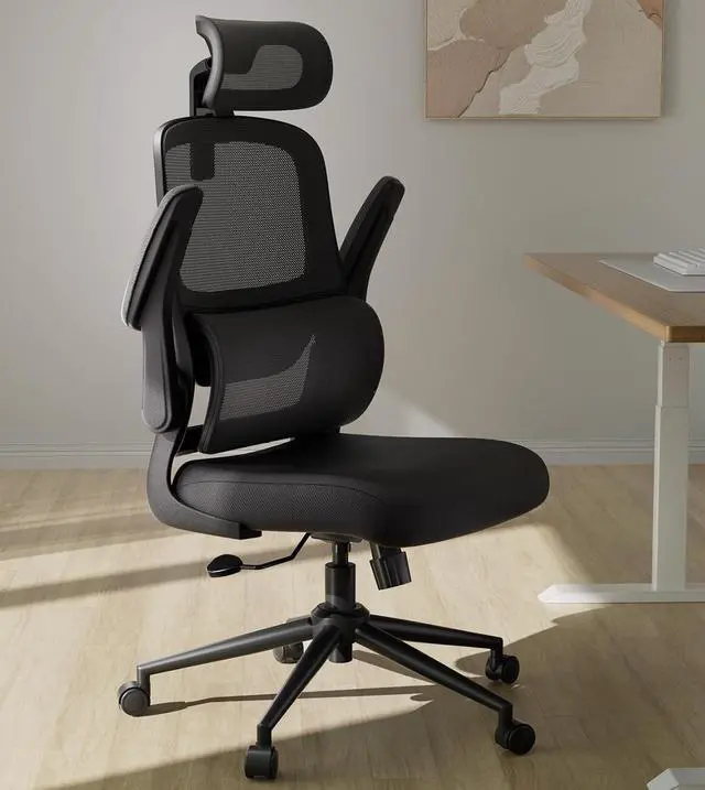 Main image of Hbada P1 Ergonomic Office Chair, Desk Chair with Adjustable Lumbar Support, Home Office Desk Chair with 2D Headrest, Flip-up Armrest, Swivel Computer Chair, Black