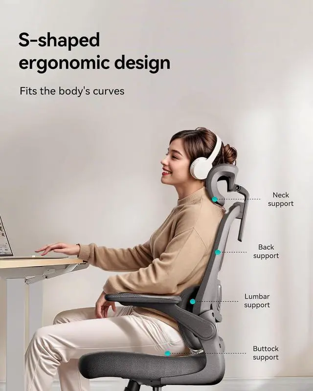 Alt view image 4 of 7 - Hbada P1 Ergonomic Office Chair, Desk Chair with Adjustable Lumbar Support, Home Office Desk Chair with 2D Headrest, Flip-up Armrest, Swivel Computer Chair, Black
