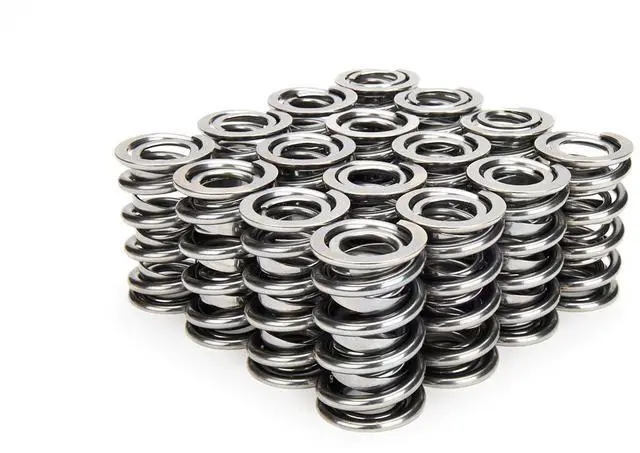 Main image of VALVE SPRING SET
