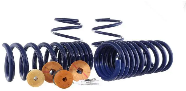 Main image of LOWERING SPRINGS