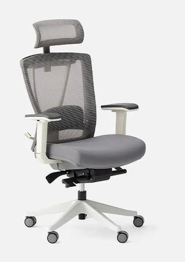 Main image of Autonomous ErgoChair Pro Ergonomic Office Chair Cool Gray - Foam