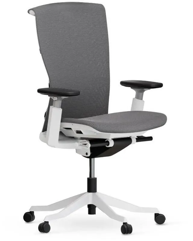 Main image of Autonomous ErgoChair Ultra 2 Ergonomic Office Chair Dover Gray - Without Headrest