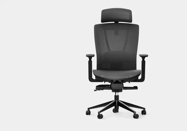 Main image of Autonomous ErgoChair Pro Ergonomic Office Chair - Mesh