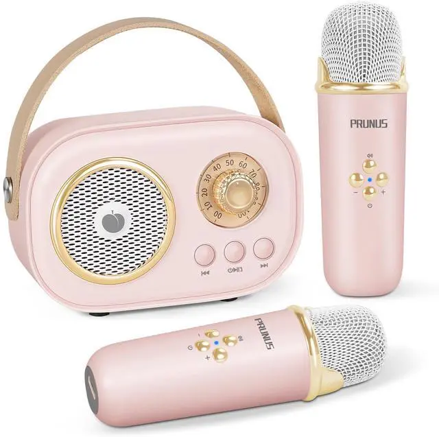 Main image of PRUNUS C20 Mini Karaoke Machine Portable Bluetooth Speaker with Wireless Microphone 6 Sound Modes for Adults&Kids Birthday Home Farmily Friends Party Gifts for Girls Boys Friends-Pink