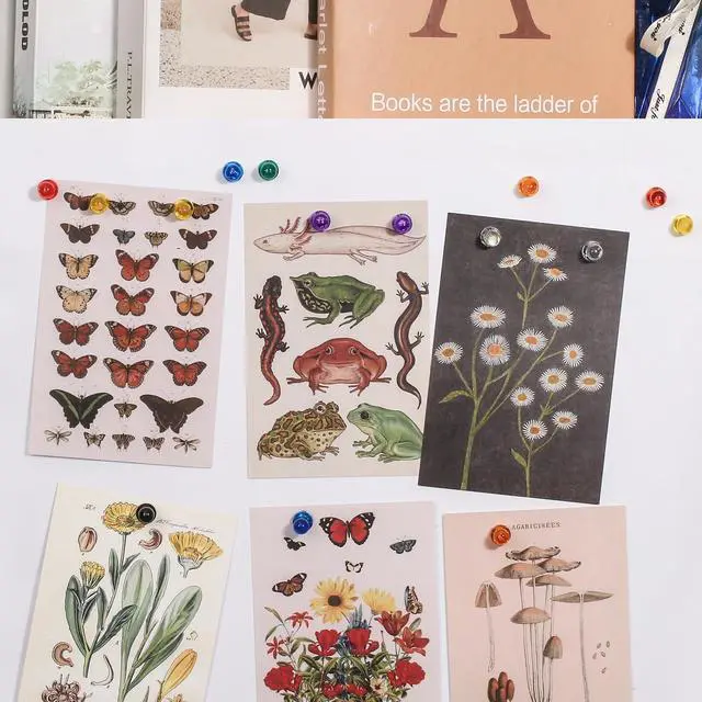 Alt view image 5 of 7 - 90 PCS Colorful Strong Magnetic Push Pin Magnets, 9 Assorted Color Magnetic Push Pin Magnets for Office, Classroom, Kitchen Home and School, Map Magnets, Whiteboard Magnets