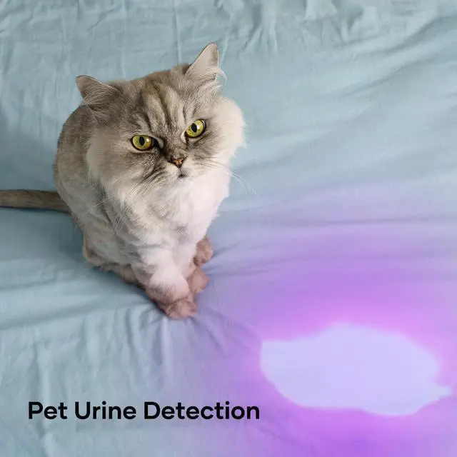 Alt view image 2 of 6 - HinsGEAR 1 Mode UV 365nm Blacklight Flashlight LED Ultraviolet Flashlights Portable Uv Light Wood's lamp Detector for Dog Urine Pet Stains, Anti-counterfeiting and More - Powered by Single AA Battery