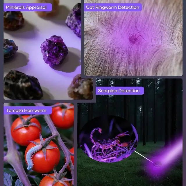 Alt view image 4 of 6 - HinsGEAR 1 Mode UV 365nm Blacklight Flashlight LED Ultraviolet Flashlights Portable Uv Light Wood's lamp Detector for Dog Urine Pet Stains, Anti-counterfeiting and More - Powered by Single AA Battery