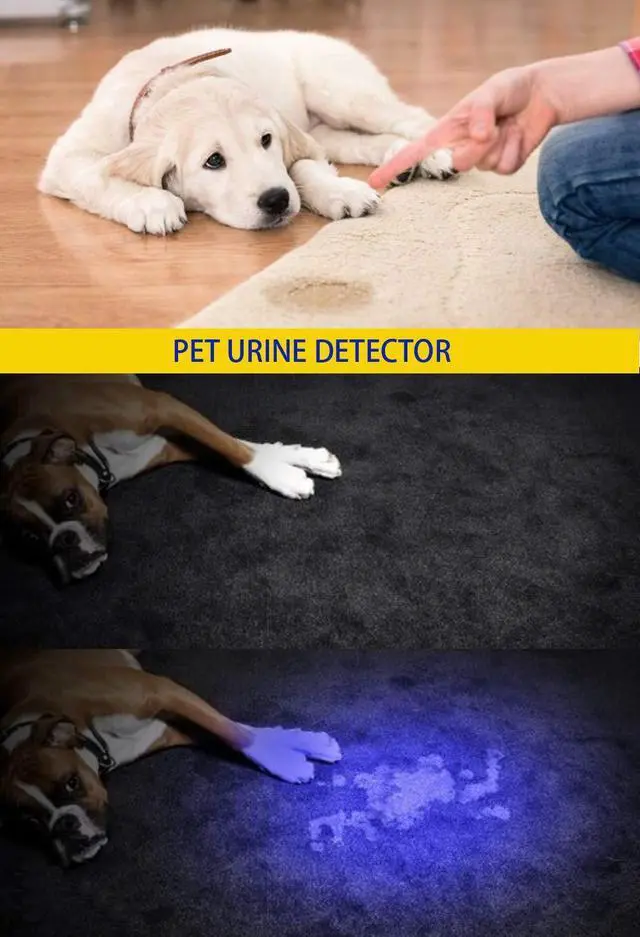 Alt view image 7 of 7 - DARKBEAM UV 365nm and 395nm Light Wood's lamp Blacklight Ultraviolet Flashlight LED Portable Mini Handheld Torch, Detector for Dog Urine Pet Stains Anti-counterfeiting Identification, Resin Curing