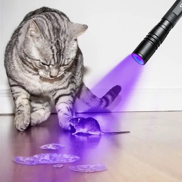 Alt view image 6 of 6 - COSMOING UV Flashlight, LED 395nm Ultraviolet Flashlight, Zoomable Pen Blacklight Flashlight IP54 Waterproof Detector for Pet Urine, Cat Dog Stains, Bed Bug, Household Wardrobe Toilet