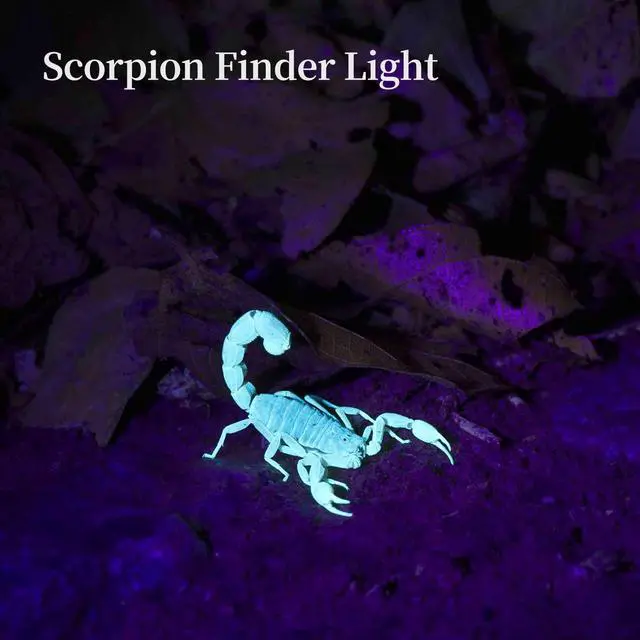 Alt view image 5 of 6 - TNATRA UV 365nm 395nm Blacklight Flashlight for UV Glue Curing,Rocks & Minerals,Pet Stain Detector,Scorpion Finder, Dry Stain, Portable,Zoomable Handheld Ultraviolet Flashlight Black Light