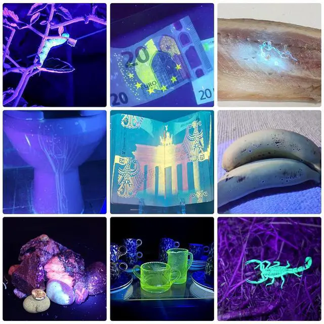 Alt view image 4 of 6 - TNATRA UV 365nm 395nm Blacklight Flashlight for UV Glue Curing,Rocks & Minerals,Pet Stain Detector,Scorpion Finder, Dry Stain, Portable,Zoomable Handheld Ultraviolet Flashlight Black Light