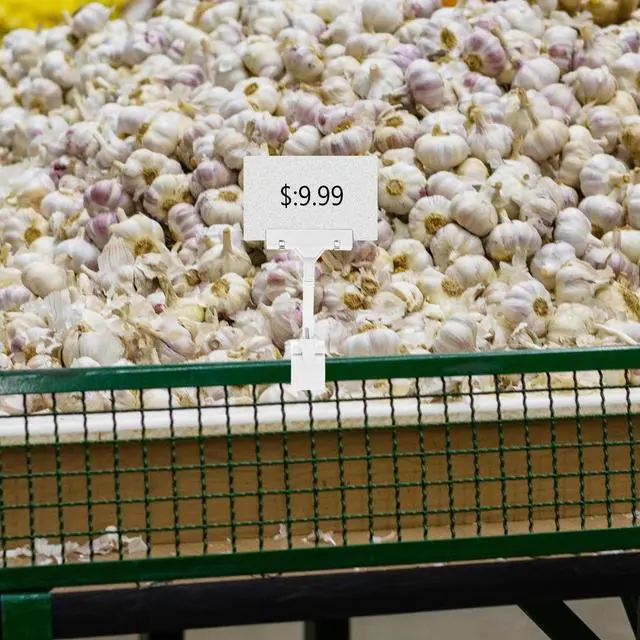 Main image of Academic Wall Calendar: 2025 Flipped Wall Calendar Hanging Countdown Wall Calendar Yearly Agenda Planner Snake Calendar Chinese