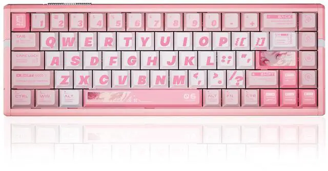 Main image of Vszerda RS6 Ultra Aluminum Hall Effect Gaming Keyboard 65% Compact 68 Keys, 0.001 mm RT, 8K Polling, Hot-Swappable, RGB (Pink-Jade Magnetic)