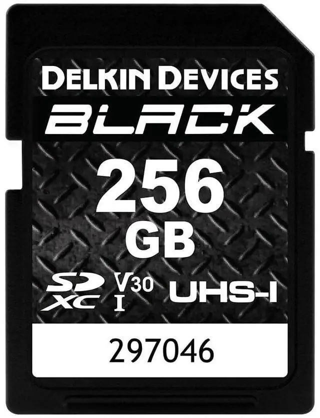 Main image of Delkin Devices Black Rugged SDHC Memory Card, UHS-I, C10, U3, V30, Full HD & 4K Video, Up to 90MB/s Read, 90MB/s Write (256GB)