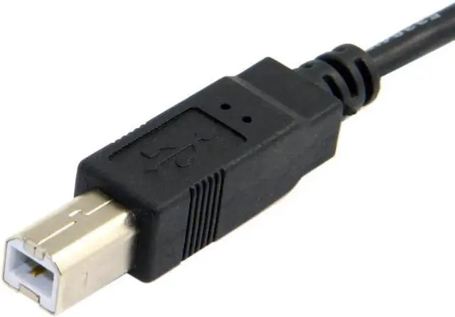 Main image of USB-C USB 3.1 Type-C Male Connector to USB 2.0 Type B Male Data Cable for Cell Phone & Laptop & Laptop 100cm